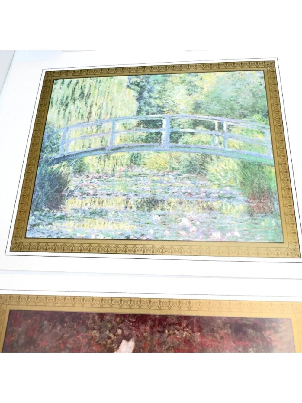 Monet beautiful set